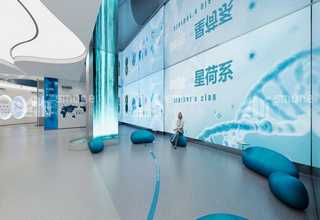 湖南铜板黄铜带型号