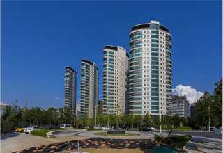 潮州茄汁煸豆罐头生产商家