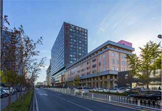 徐汇区正规宠物洗护上门服务